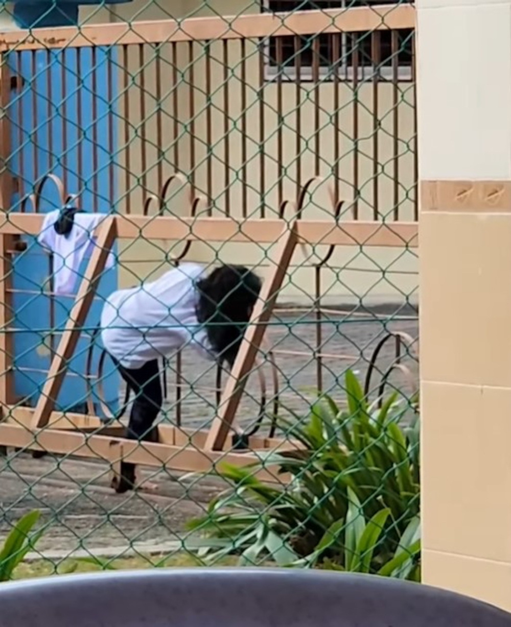 女童小心翼翼地跨過圍欄。