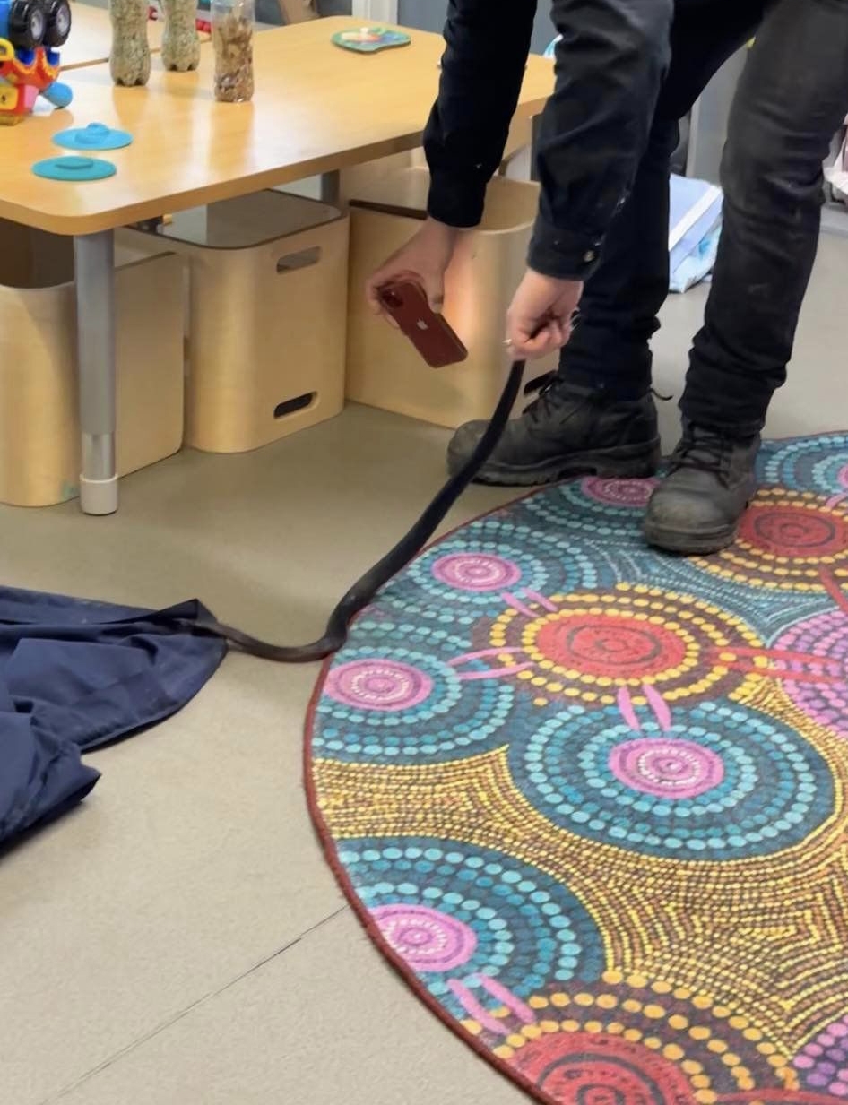 Tim大讚老師的處理很冷靜，懂得及時請求專業協助。