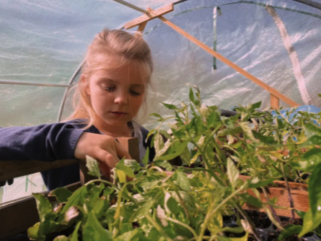 他們以4.5萬英鎊（約43萬港元）積蓄在葡萄牙購入五英畝土地，用來種植食物。