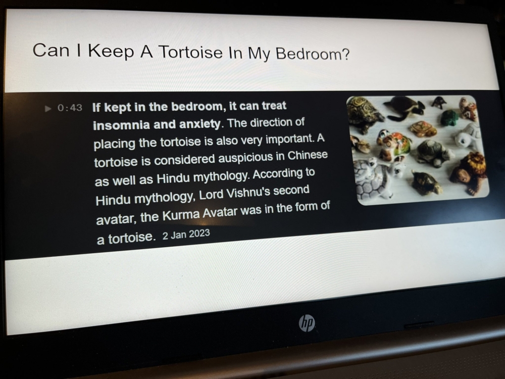 女兒提到可否在浴室養烏龜。