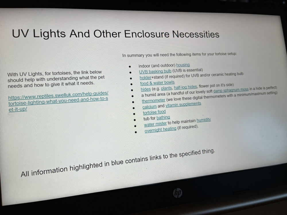 女兒在幻燈片寫明養龜所需要的東西。