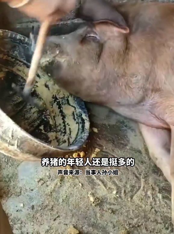 當一個剛大學畢業的女生到養豬場工作,家人不但沒有反對,更十分支持她。