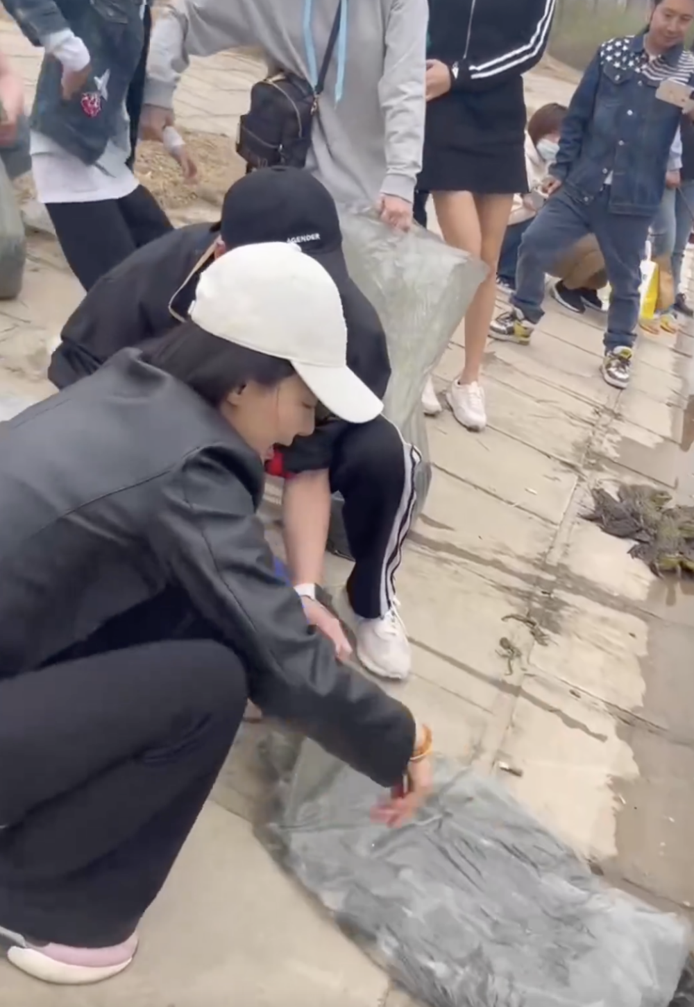 馬賽和女兒一同放生一袋牛蛙。