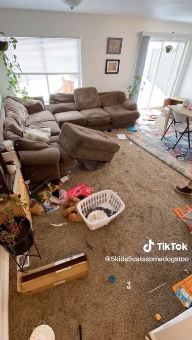 客廳也像災難現場