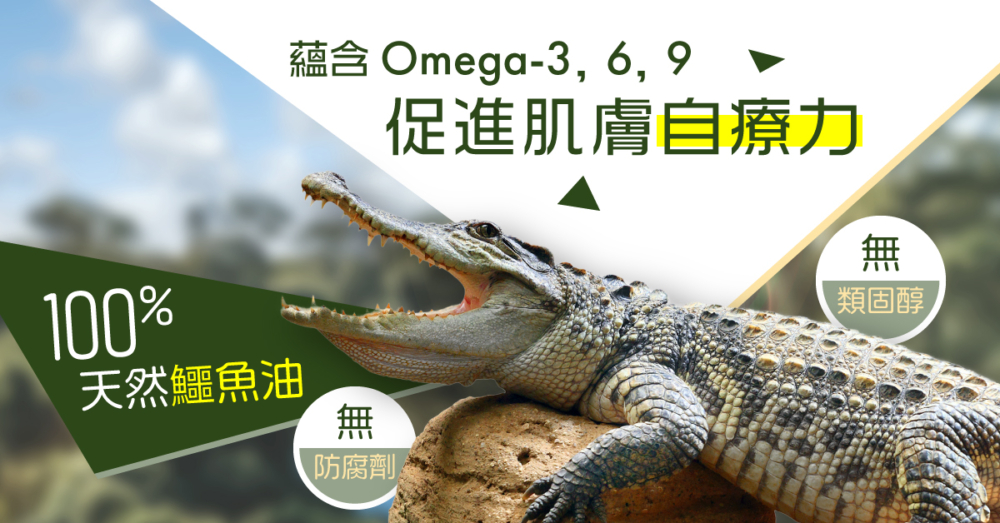 鱷魚油來自鱷魚脂肪組織有「液態黃金」美譽。