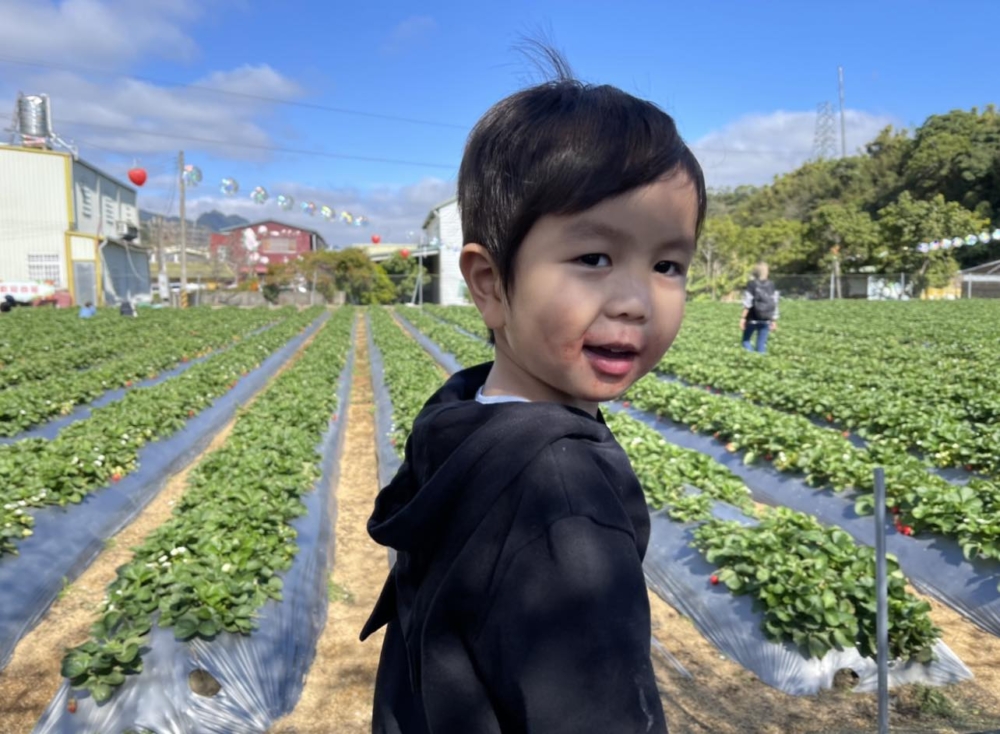 便當夫人的四歲愛兒不幸確診DIPG腦癌。