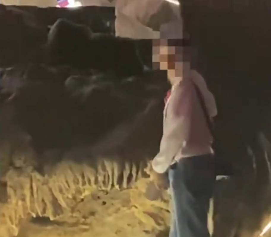 一名男童拿著磚頭,將洞壁上的鐘乳石敲斷