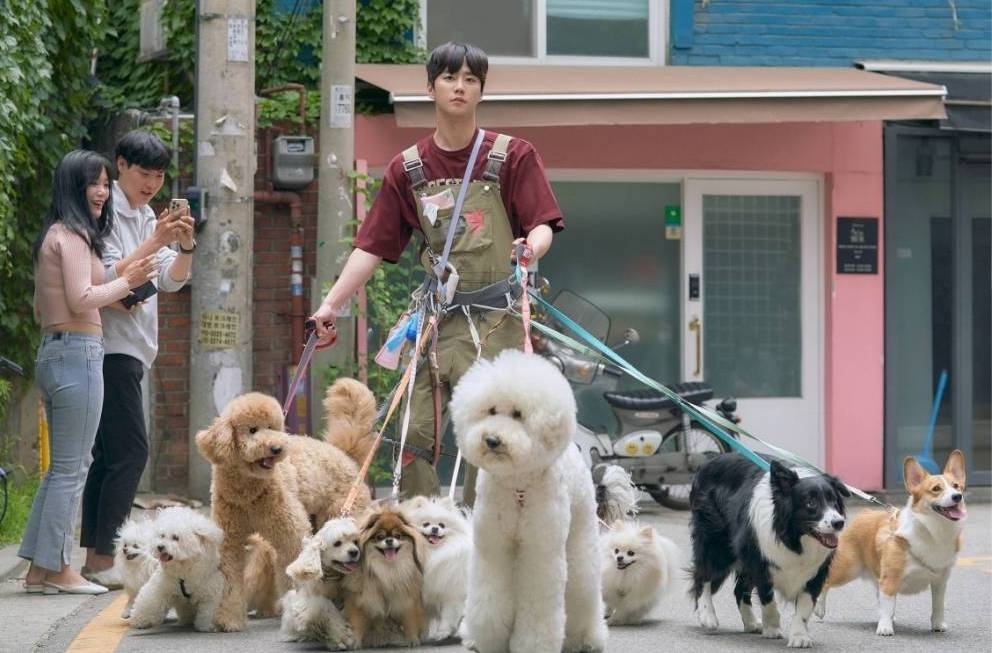 管家要幫忙照顧狗隻