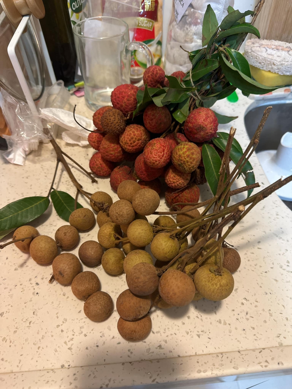 事主拍「龍眼大約細過抽荔枝二分一」。