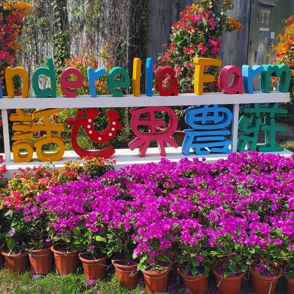 童話世界農莊位於大埔。