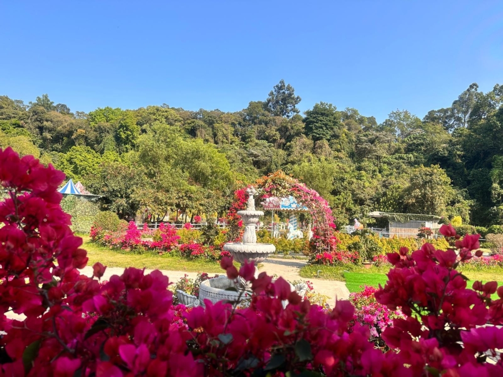 童話世界農莊非常適合打卡！