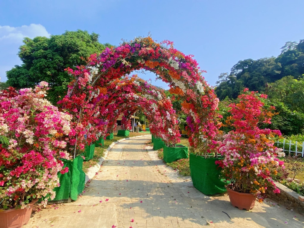 每年花季，園內絕對五彩繽紛。