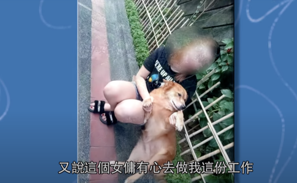 中介推薦對寵物友善的外傭接手工作。