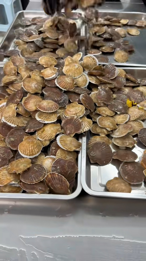 看見豐富食材令食指大動。