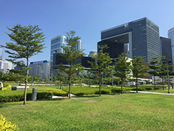 中西區海濱長廊鋪上了草坪和放了不少木製貨箱椅子。