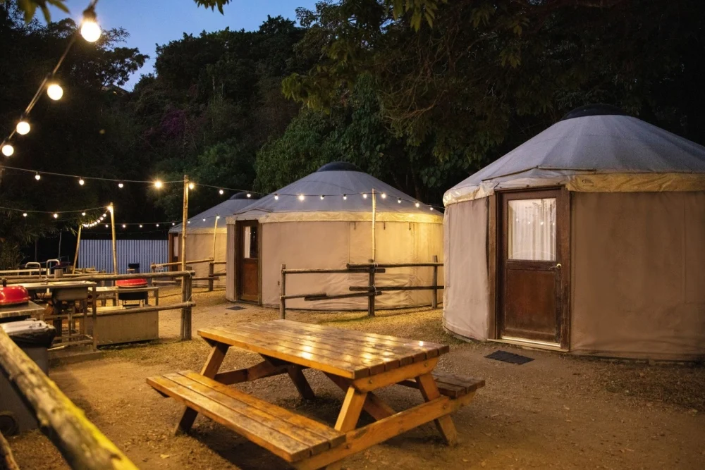 長洲西園内11英畝土地共劃分六個主題營區。