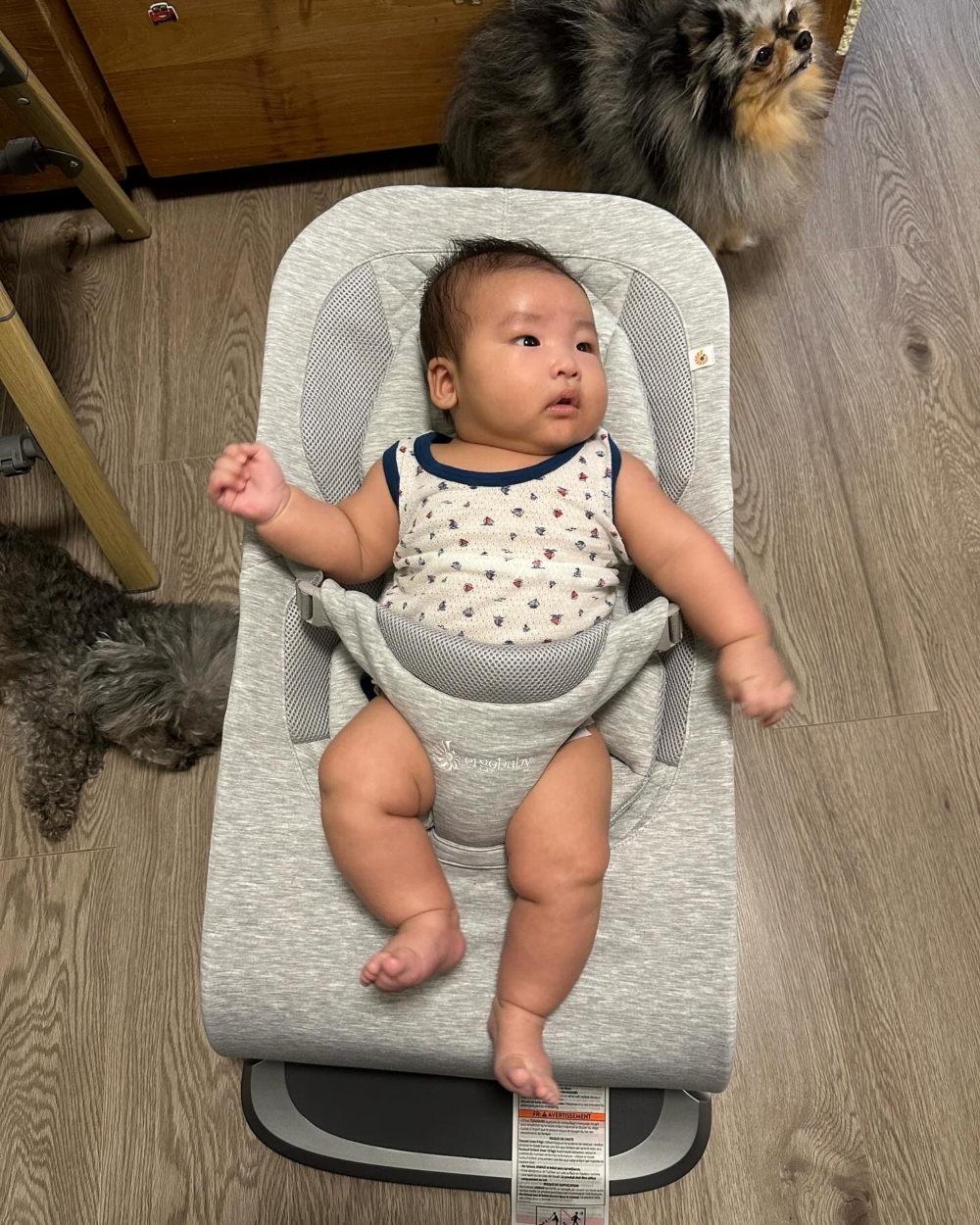 希望肉肉哥繼續健康成長。