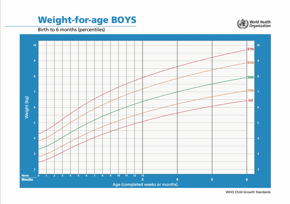 上圖顯示WHO公布的0-6個月男嬰生長曲線圖（體重）。