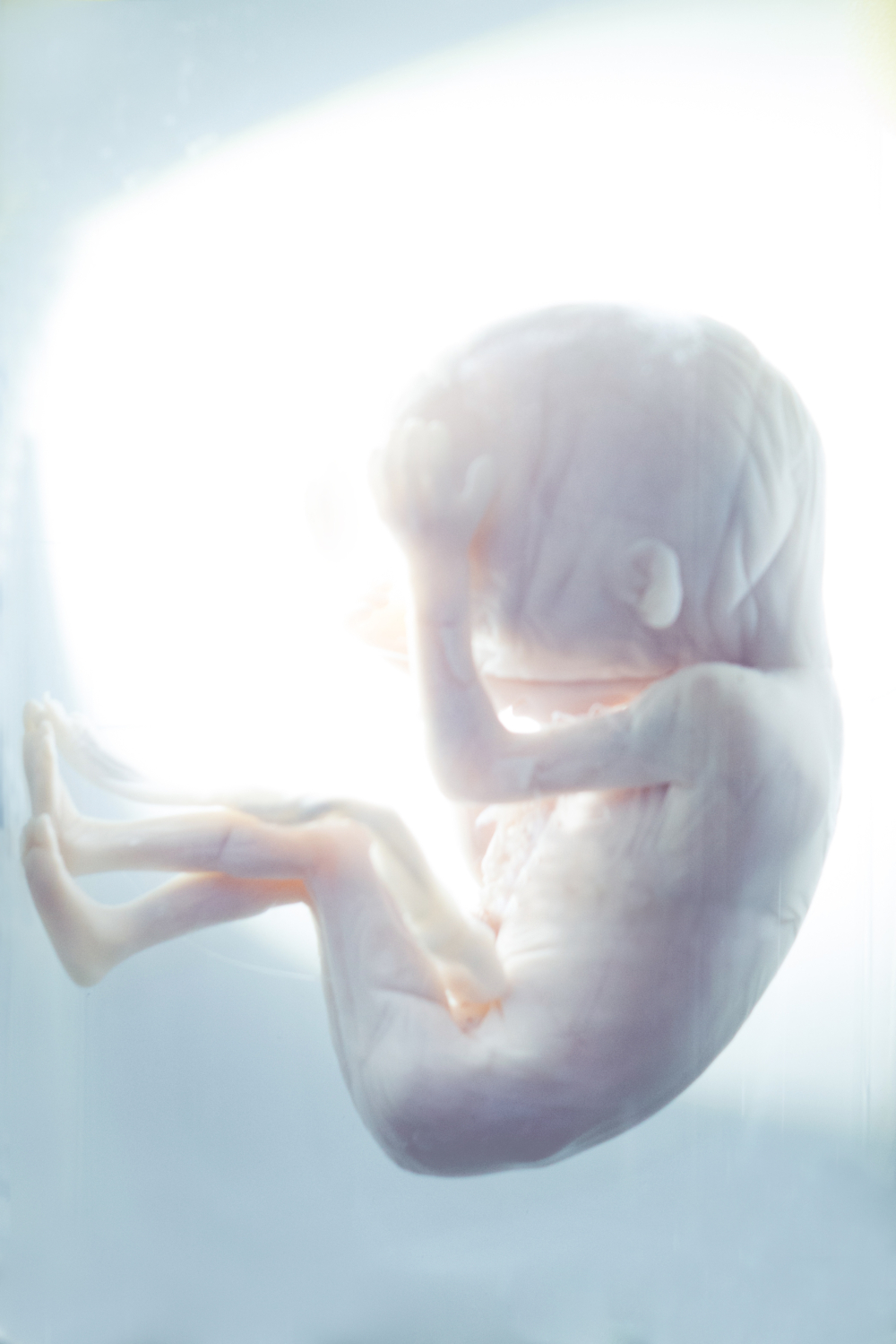 事主決定引產,但感覺胎兒活力地踢肚,令她心如刀割