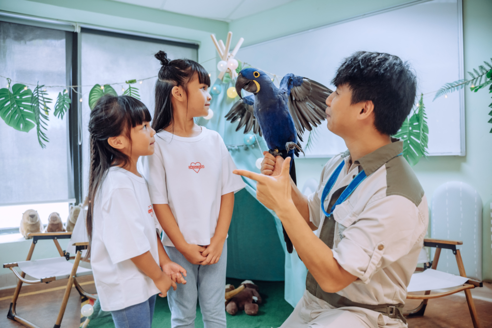 跟金剛鸚鵡接觸，看清牠的身體特徵。