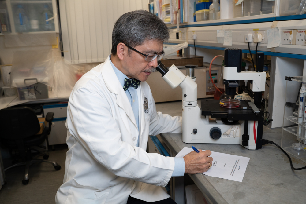 正品鱷肺補獲高錦明教授認證,有效改善咳嗽。