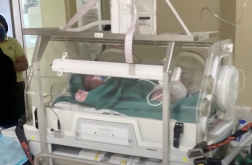 可以發現在保溫箱裡的巨B體型驚人。