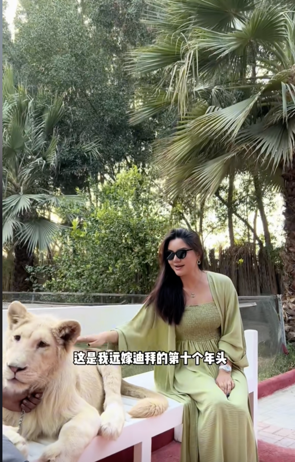 博主家裡飼養珍貴的白獅!
