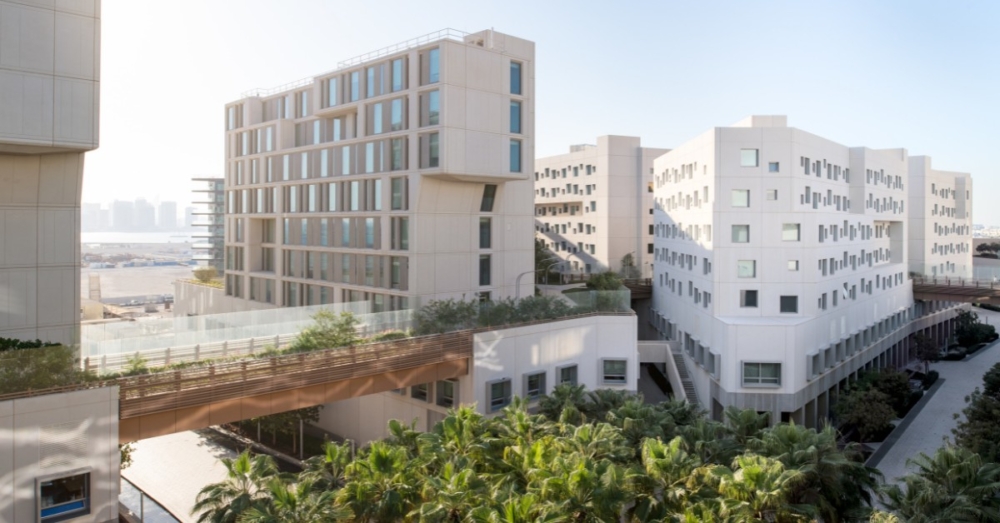 紐約大學阿布扎比分校(NYUAD)成立於2010年。