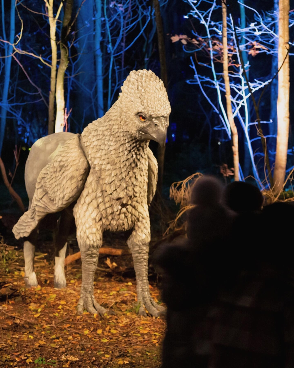 「禁林之旅」主打極強的互動體驗。