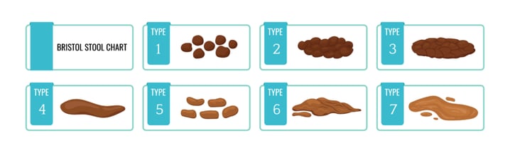 Bristol Stool Chart圖表