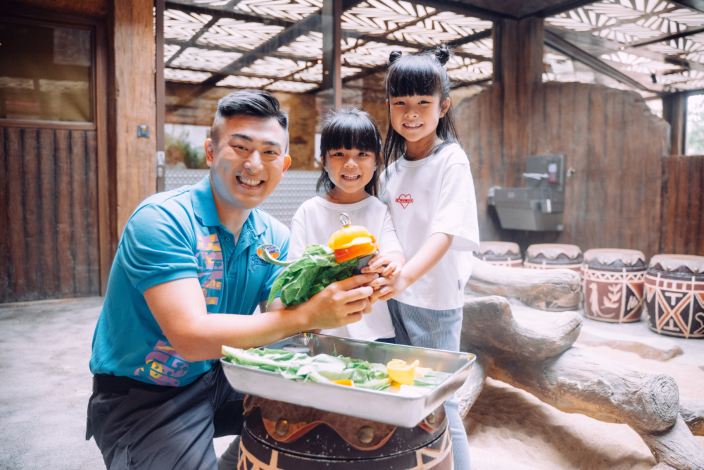 小旅行家除可了解狐獴和大象龜的飲食習慣,還可親手製作環境豐容物供牠們享用。