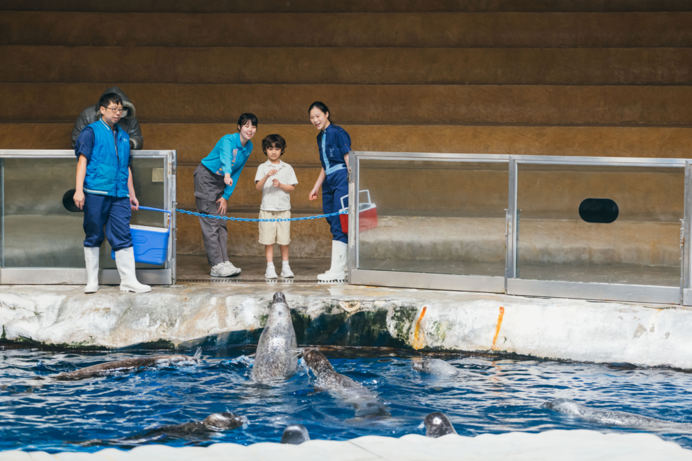 小探險隊員將親手為企鵝、斑海豹送上小食。