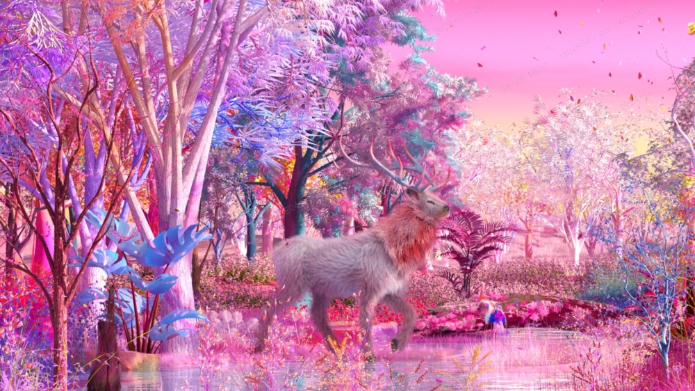 彩之森（彩色森林）。