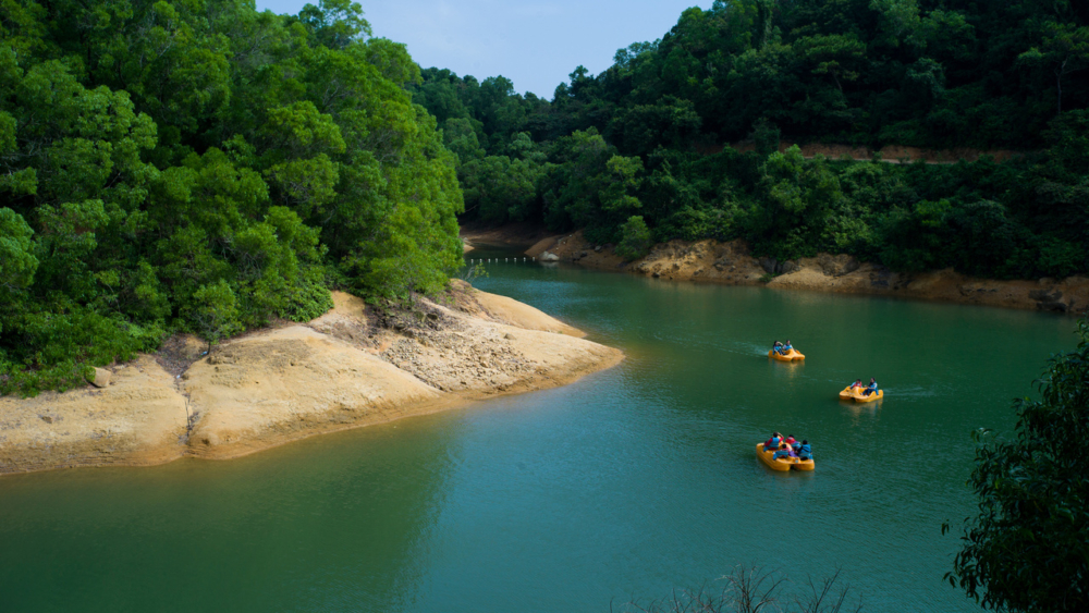 一家大細最適合玩上水單車
