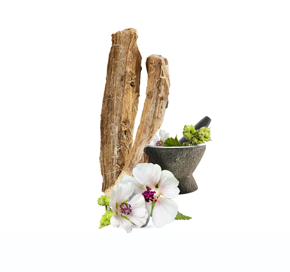 藥蜀葵根是一種來自歐洲、西亞和北非的草本植物，數千年來用於緩解各種腸道和皮膚問題，更以紓緩咳嗽而聞名。它含有一種類似樹膠般的黏液，這種黏液通過包覆喉嚨，幫助保護喉嚨免受刺激，乾咳適用。