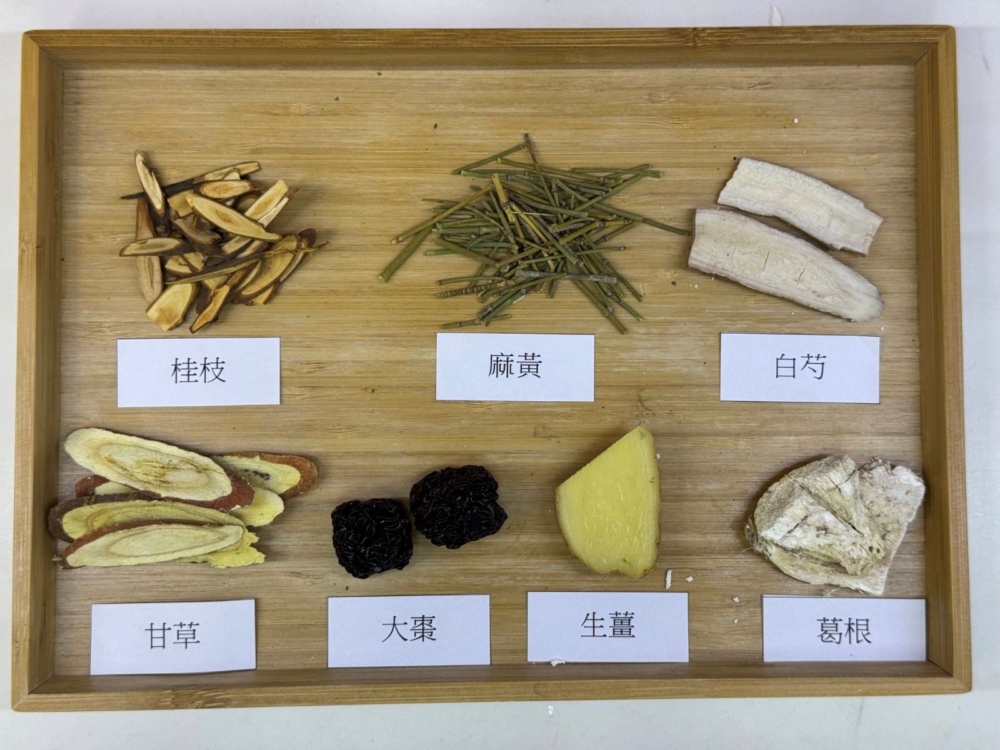 根據患者的具體症狀及體質而常用治療流感(風寒感冒)的中藥