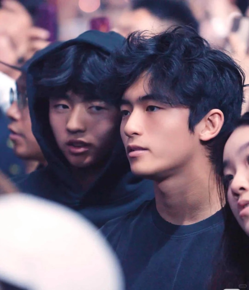 謝霆鋒2兒現身演唱會，他們的神顏引網暴動，直呼：基因太強大