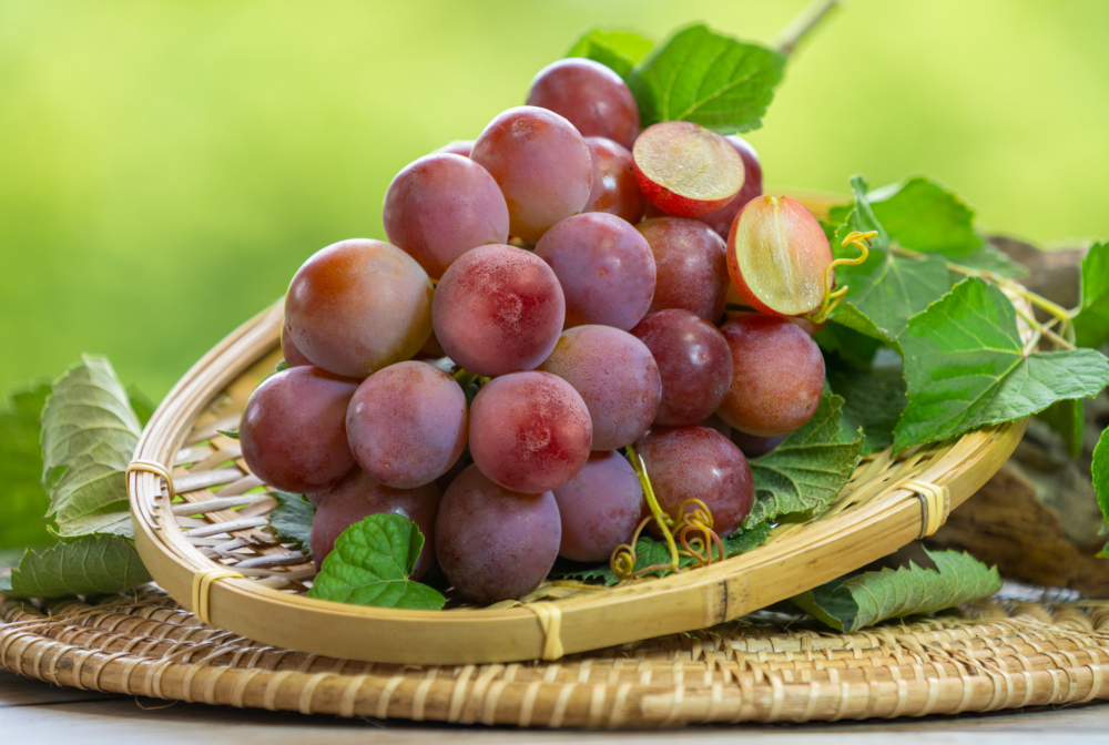 Queen Nina粒粒飽滿大粒