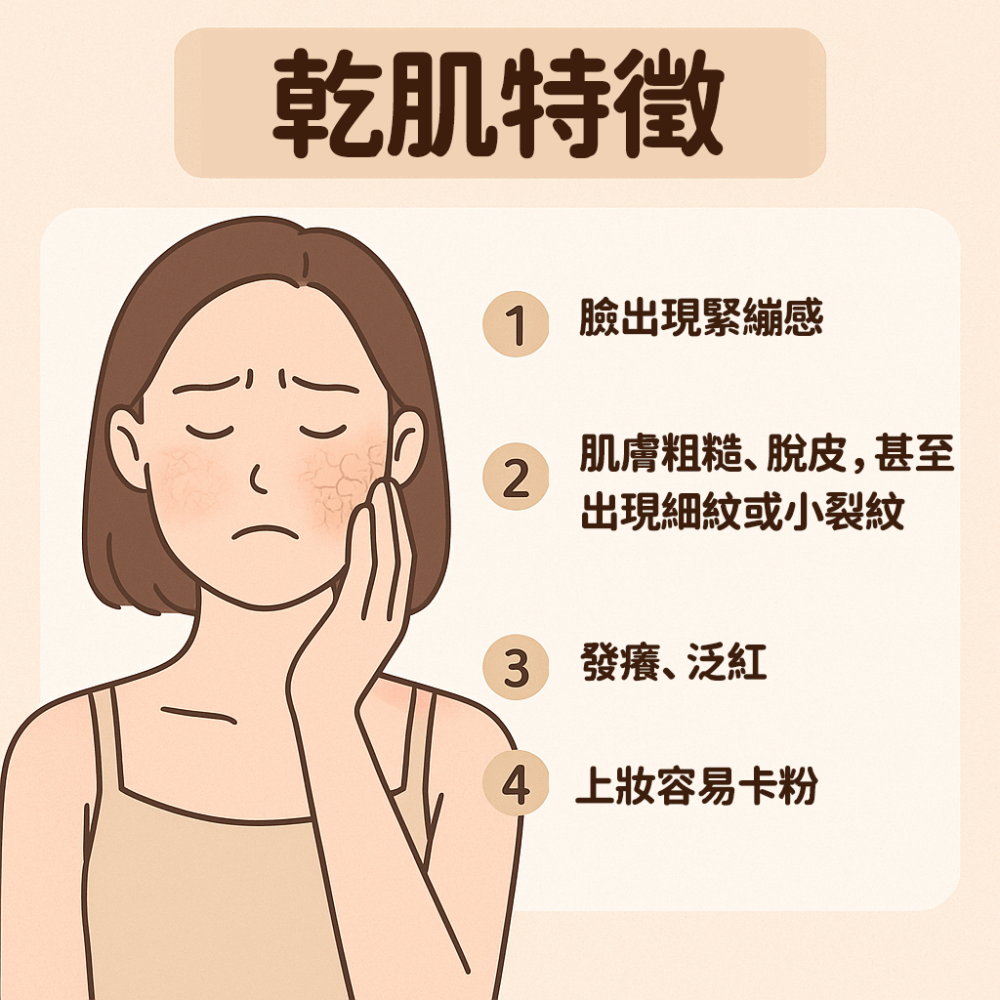 如果皮膚出現脫皮、緊繃感,上妝容易卡粉就是乾肌特徵!