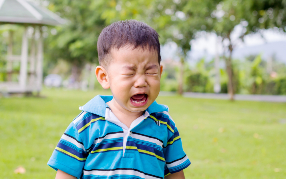 有時候孩子會因一件微不足道的小事而哭鬧不休，也有時候還會因爲事情不符合他們的期望就崩潰大哭