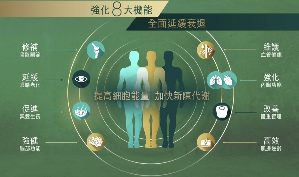 LIFE YOUNG LIPOSOMAL NMN有助強化機能，減慢身體衰老速度。