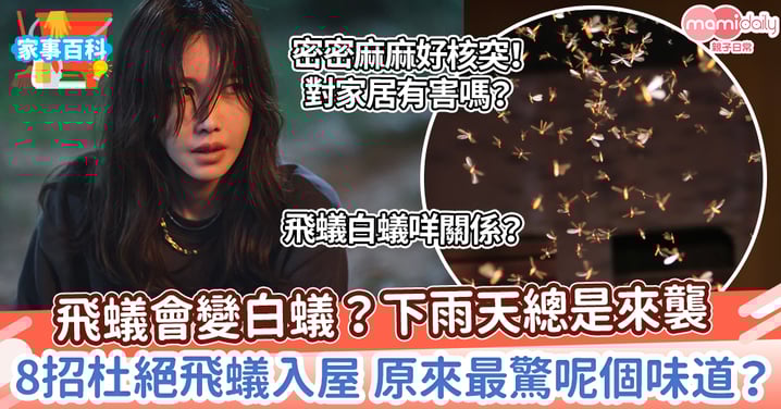 【防飛蟻入屋】飛蟻出現原因!必學8招預防白蟻災難 原來飛蟻害怕呢個味道?