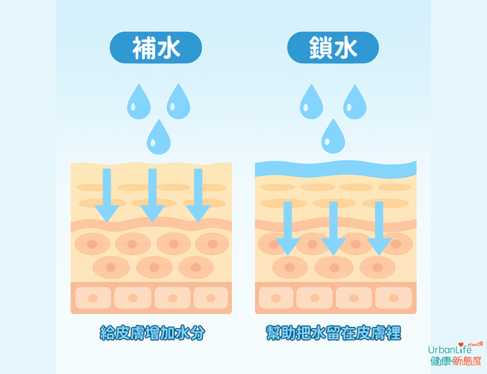 補水與鎖水需要同時進行,確保水分能夠留在皮膚內