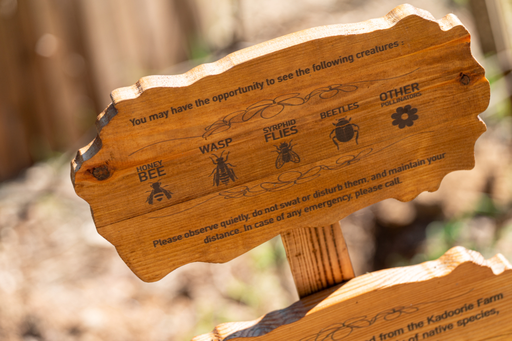 DBee Oasis城市綠洲花塔設於愉景灣中央公園,是香港首個專為授粉昆蟲而設的城市綠洲項目