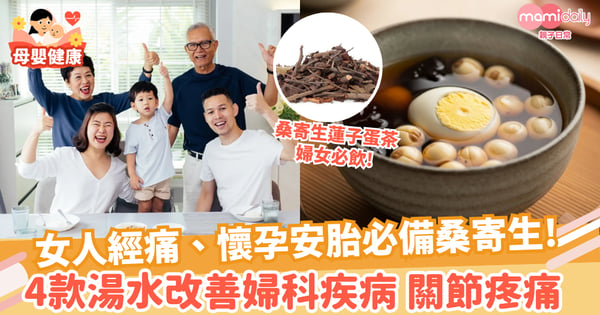 【桑寄生湯水】女人經痛補血必飲！4款桑寄生湯水改善婦科疾病、關節疼痛！