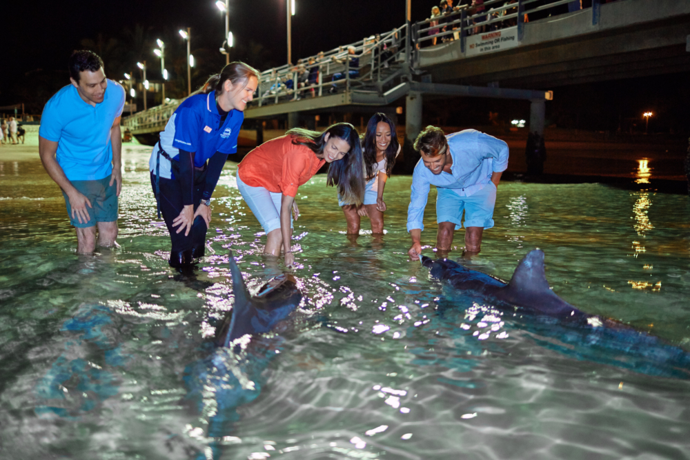 無論你是海洋探索家、動物愛好者，還是主題樂園狂熱者，永安旅遊都能滿足你的期待。