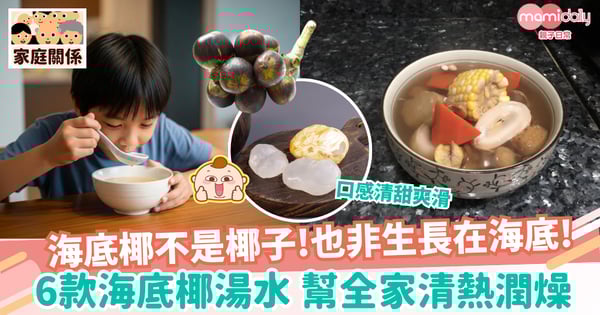 【海底椰湯水】海底椰功效+6款海底椰湯水食譜推介|除燥清熱、止咳潤肺、增免疫力