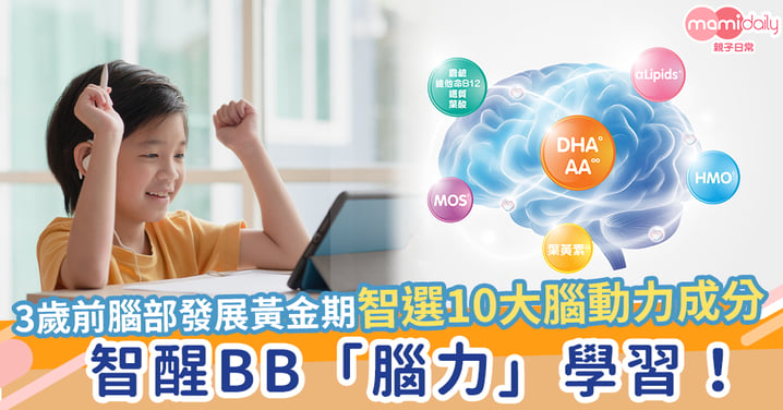 【智醒BB 「腦力」學習 】S-26®️瑞士版₄ 嚴選10大腦動力成分！