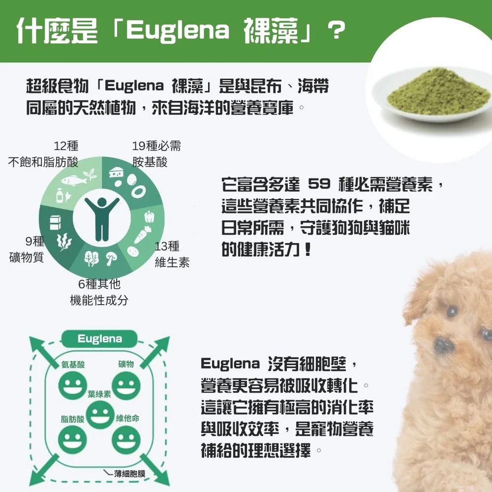在眾多超級食物中，有一種名為「裸藻」（Euglena）的珍貴微藻，正以其驚人的營養密度和獨特的健康功效，成為寵物營養界的新星 。