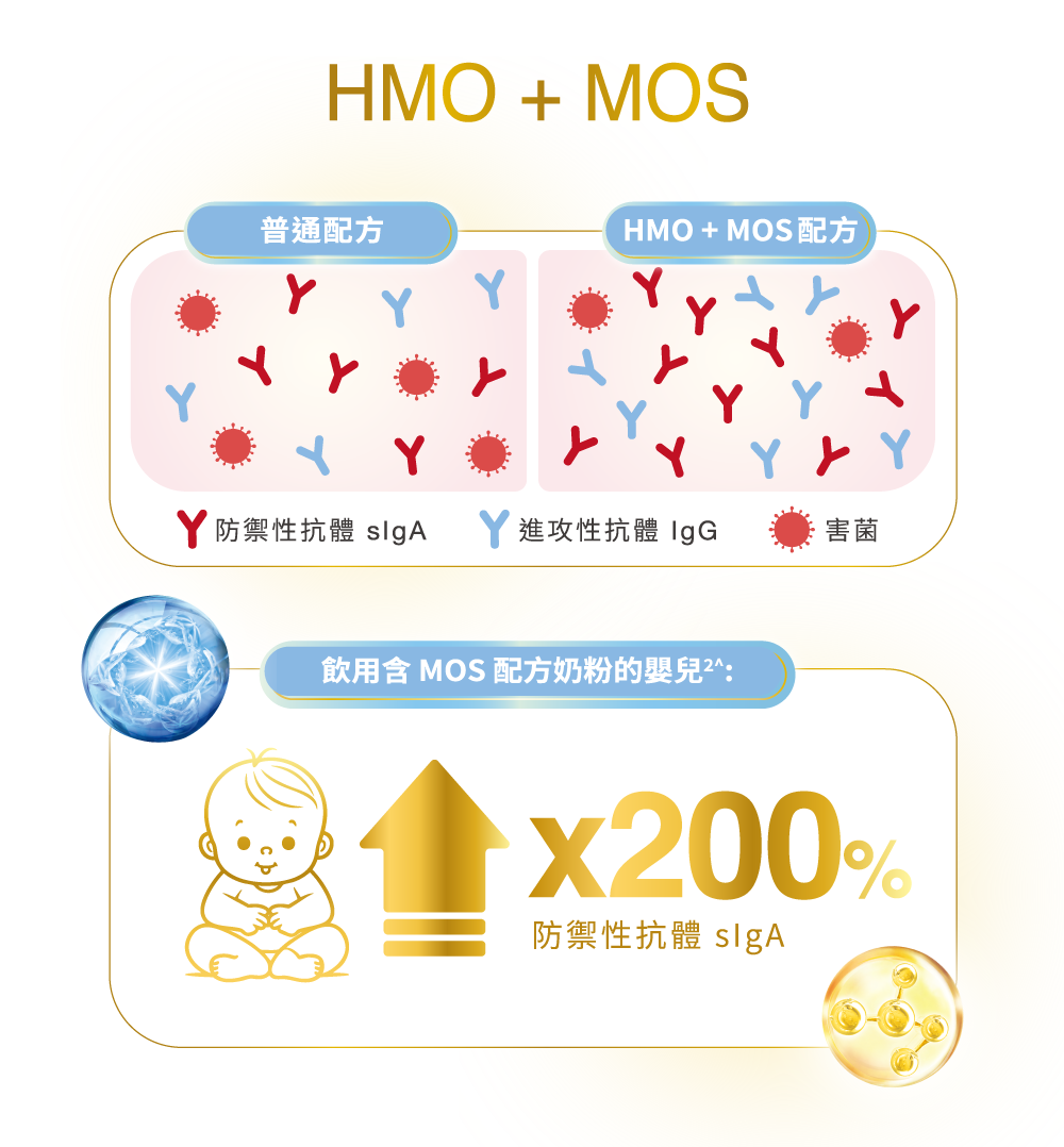 HMO + MOS 促進雙重抗體提升